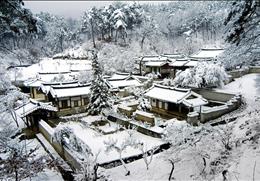 도산서원 기타사진